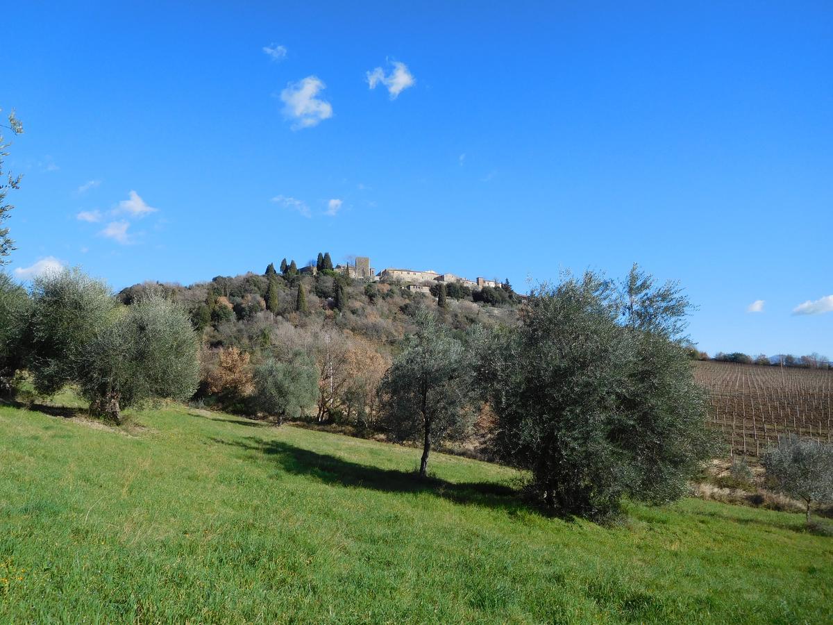 Borgo Vecchio Hotel Montalcino Luaran gambar